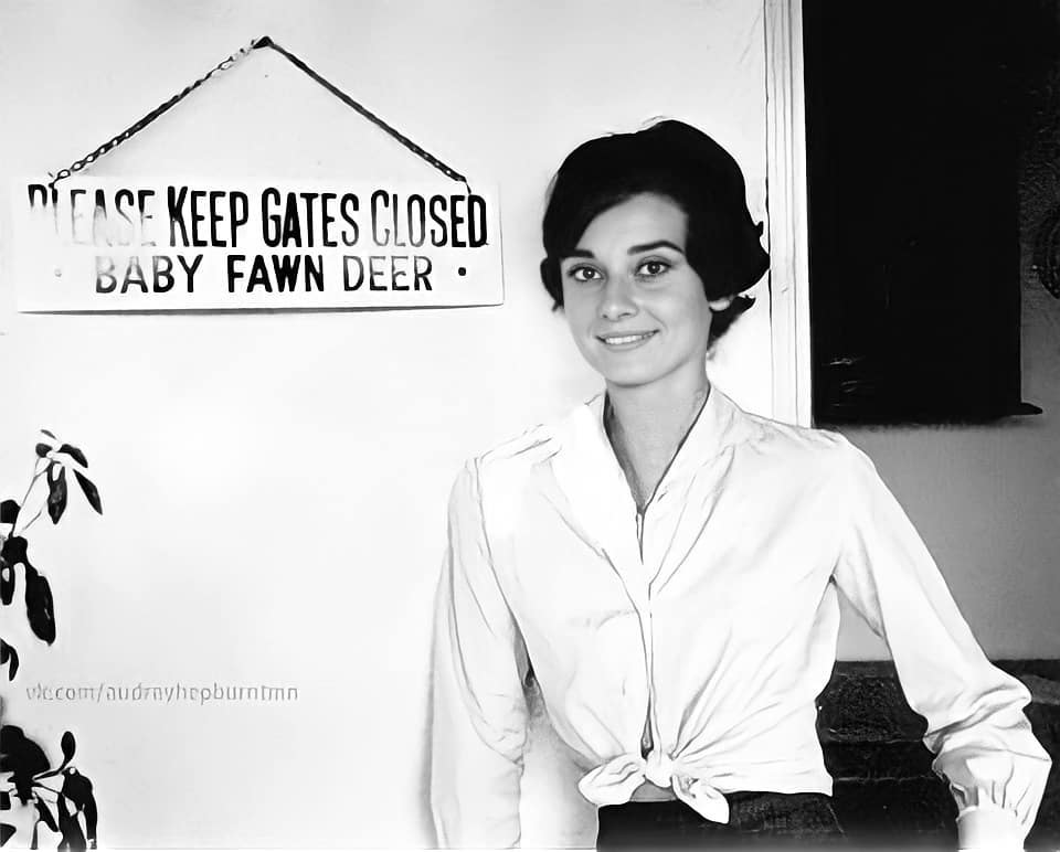 Audrey Hepburn