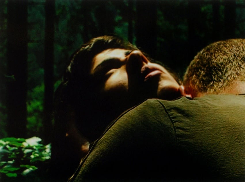 In the Woods