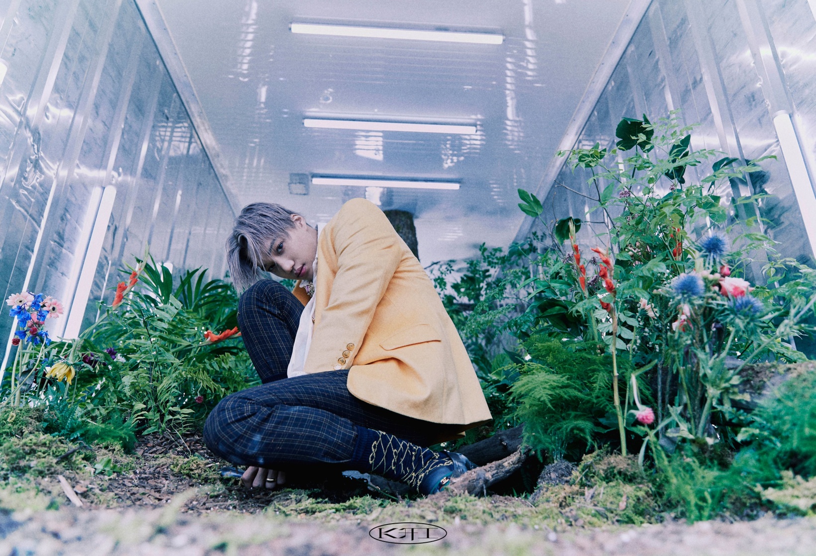 Kai