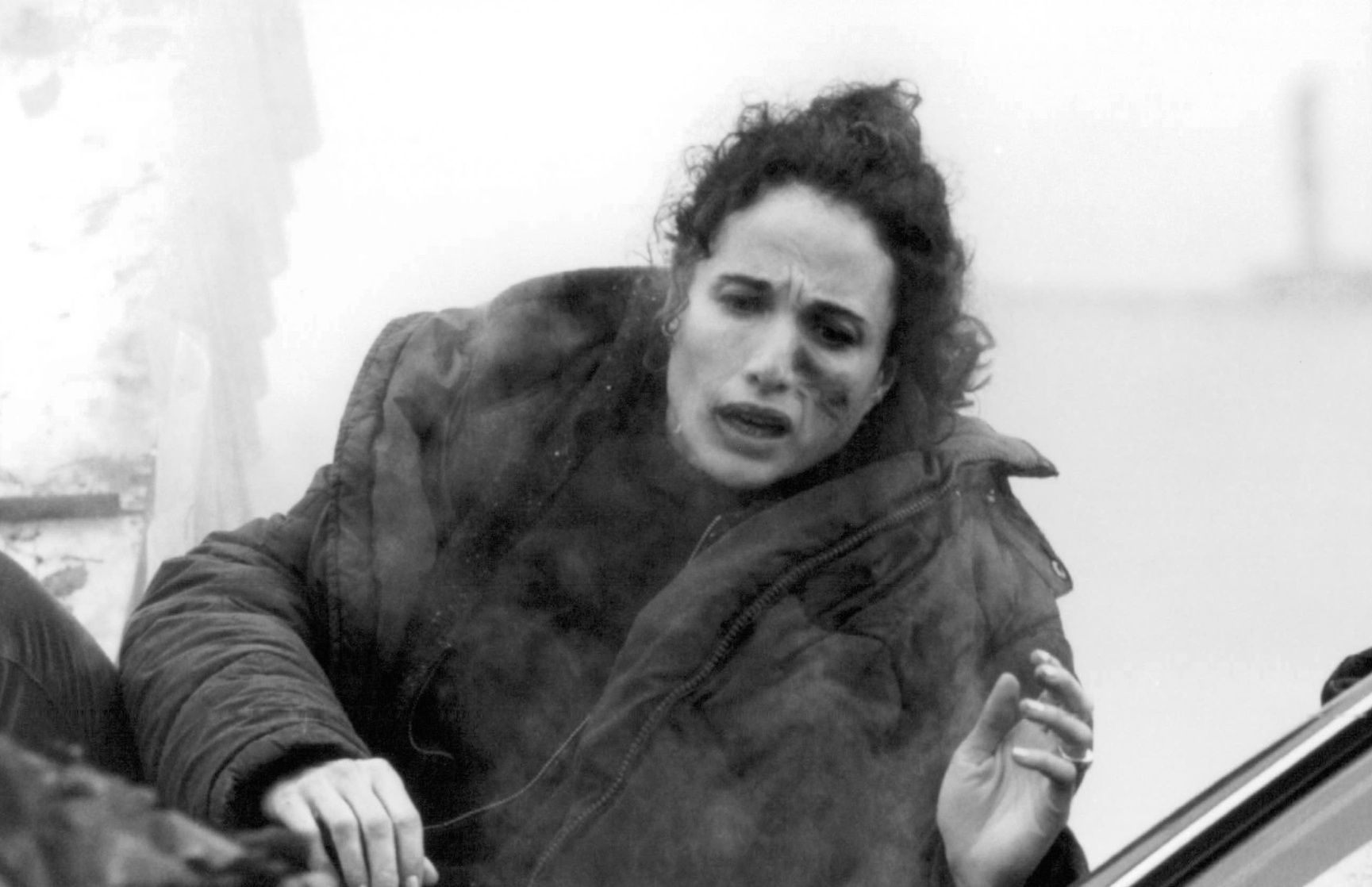 Picture of Harrison's Flowers