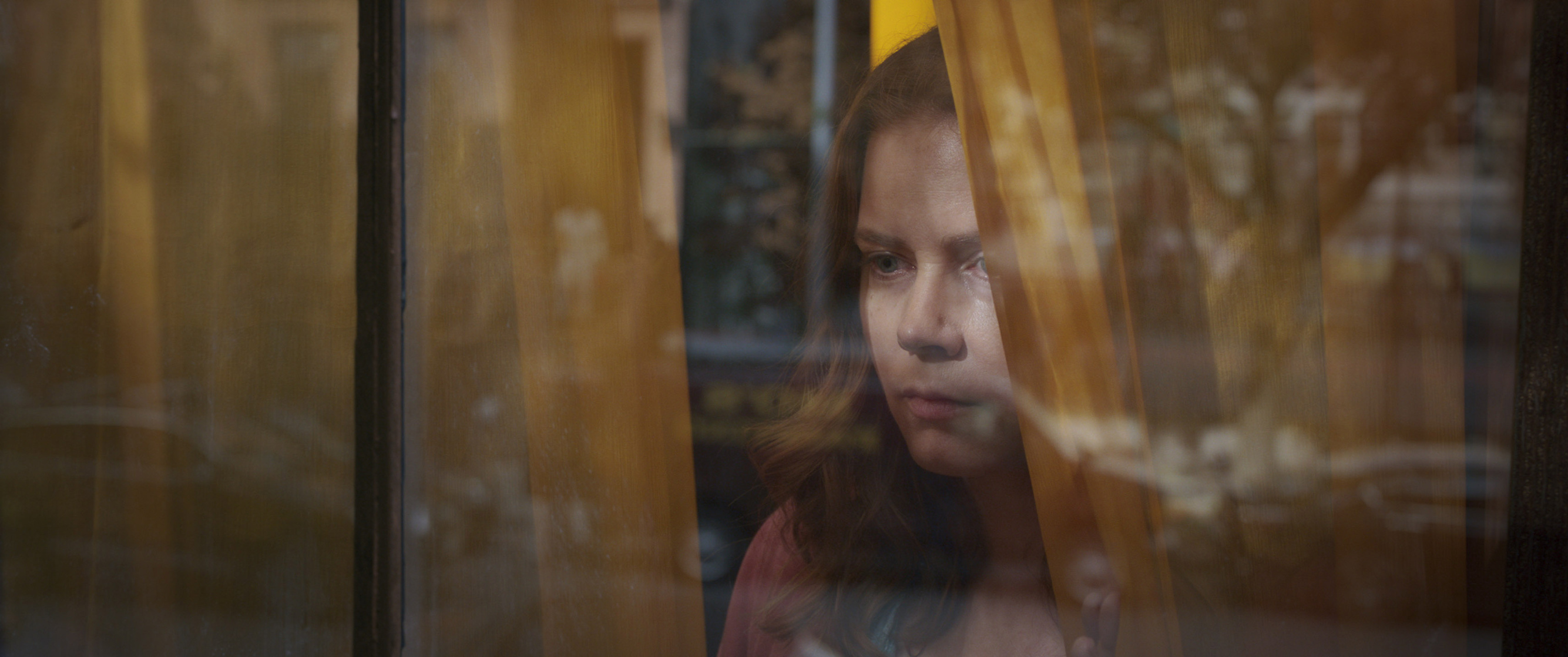 The Woman in the Window