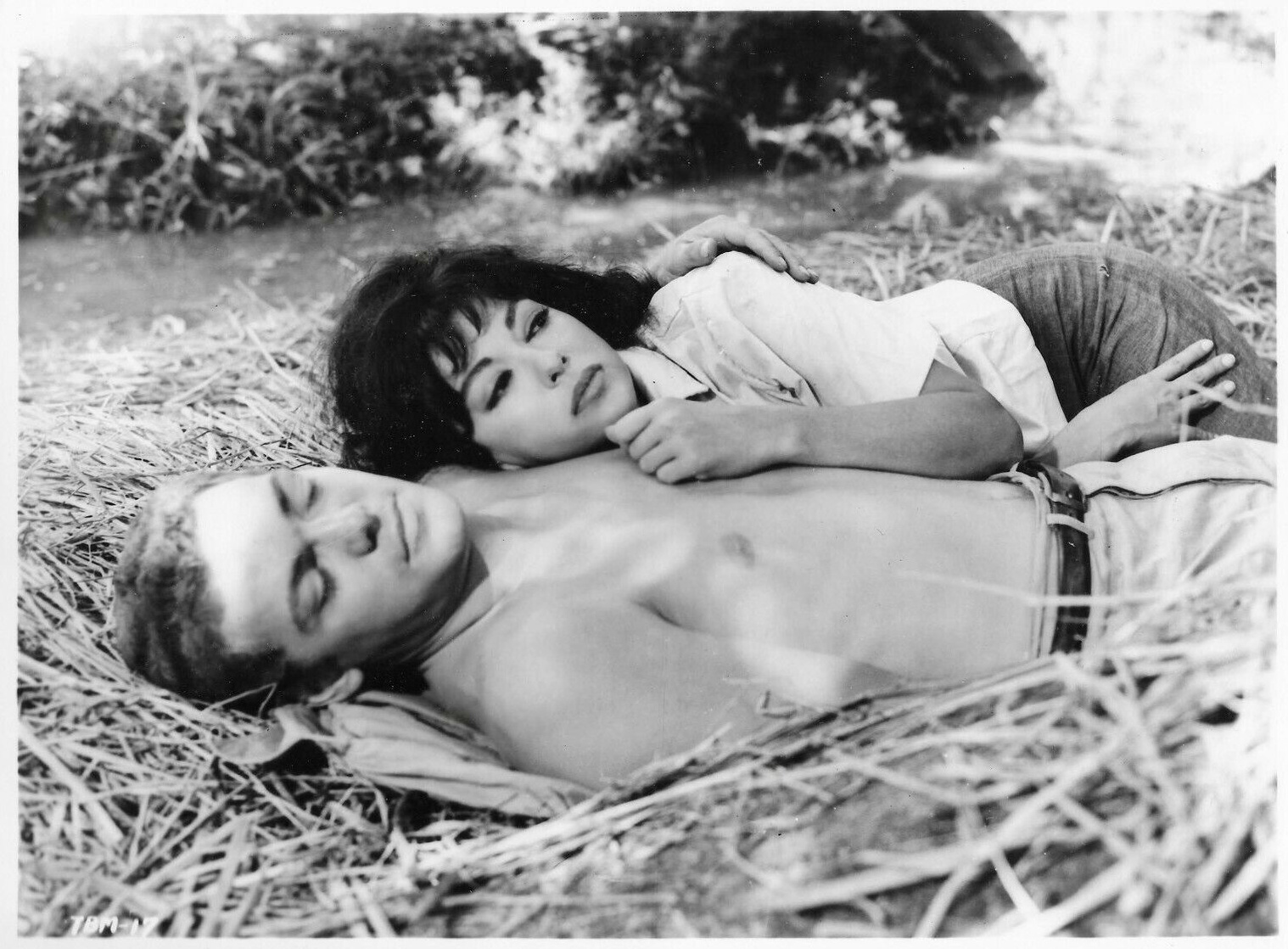 James MacArthur
