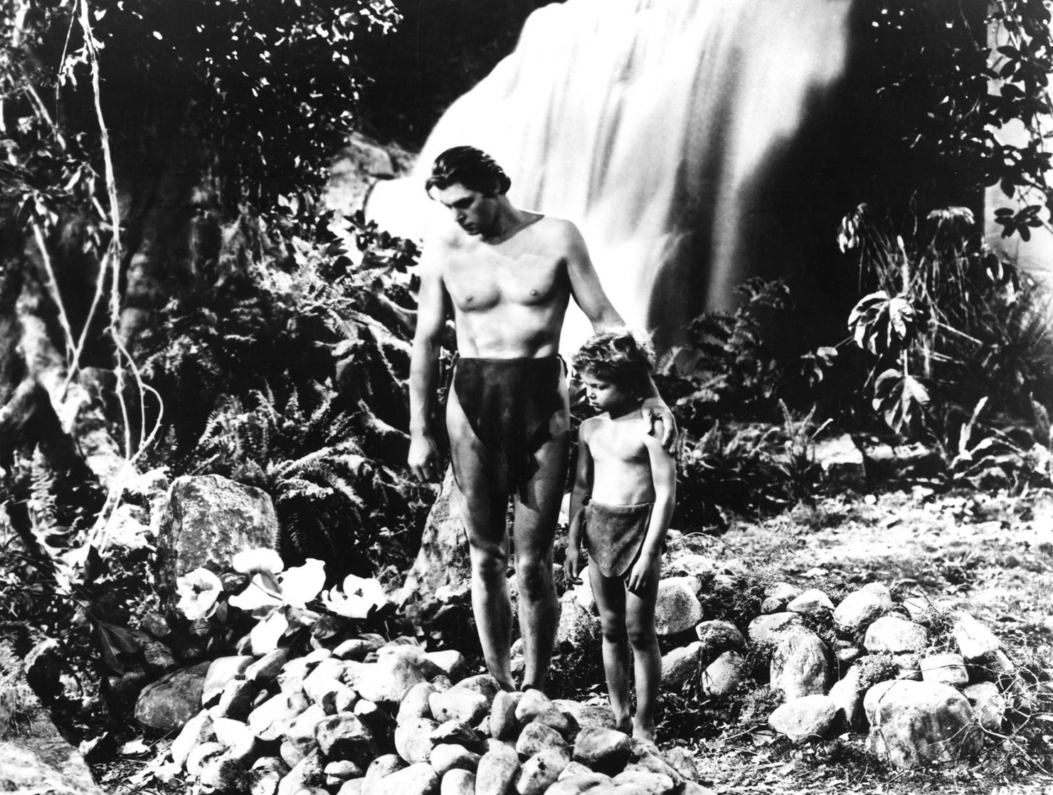Johnny Sheffield