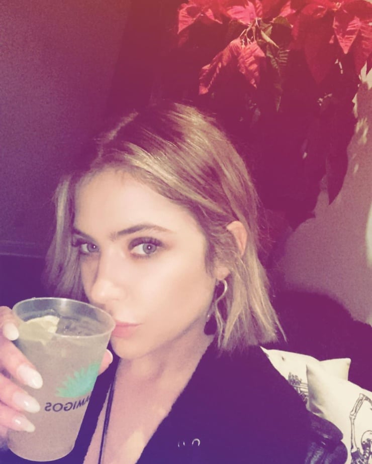 Ashley Benson Picture