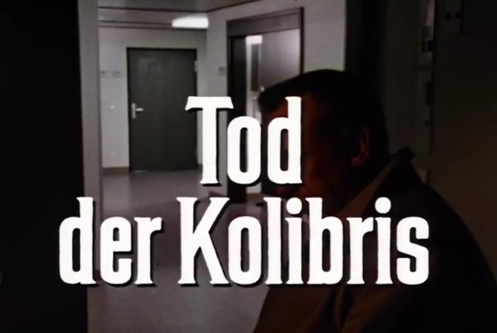 Tod der Kolibris