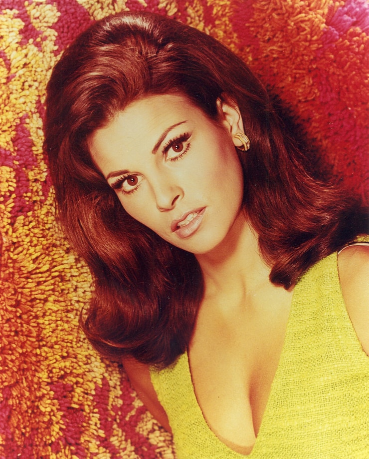 Picture of Raquel Welch