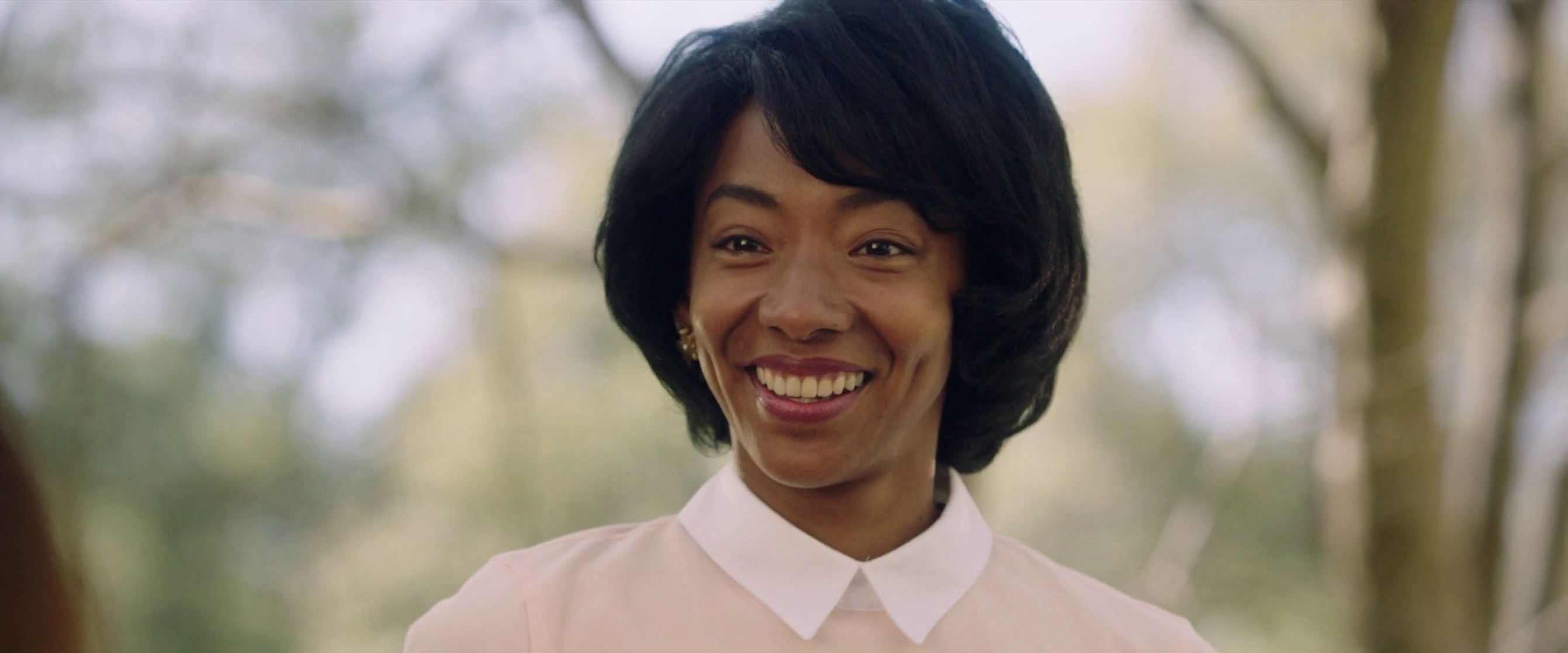 Get Out (2017) Get Out (2017)