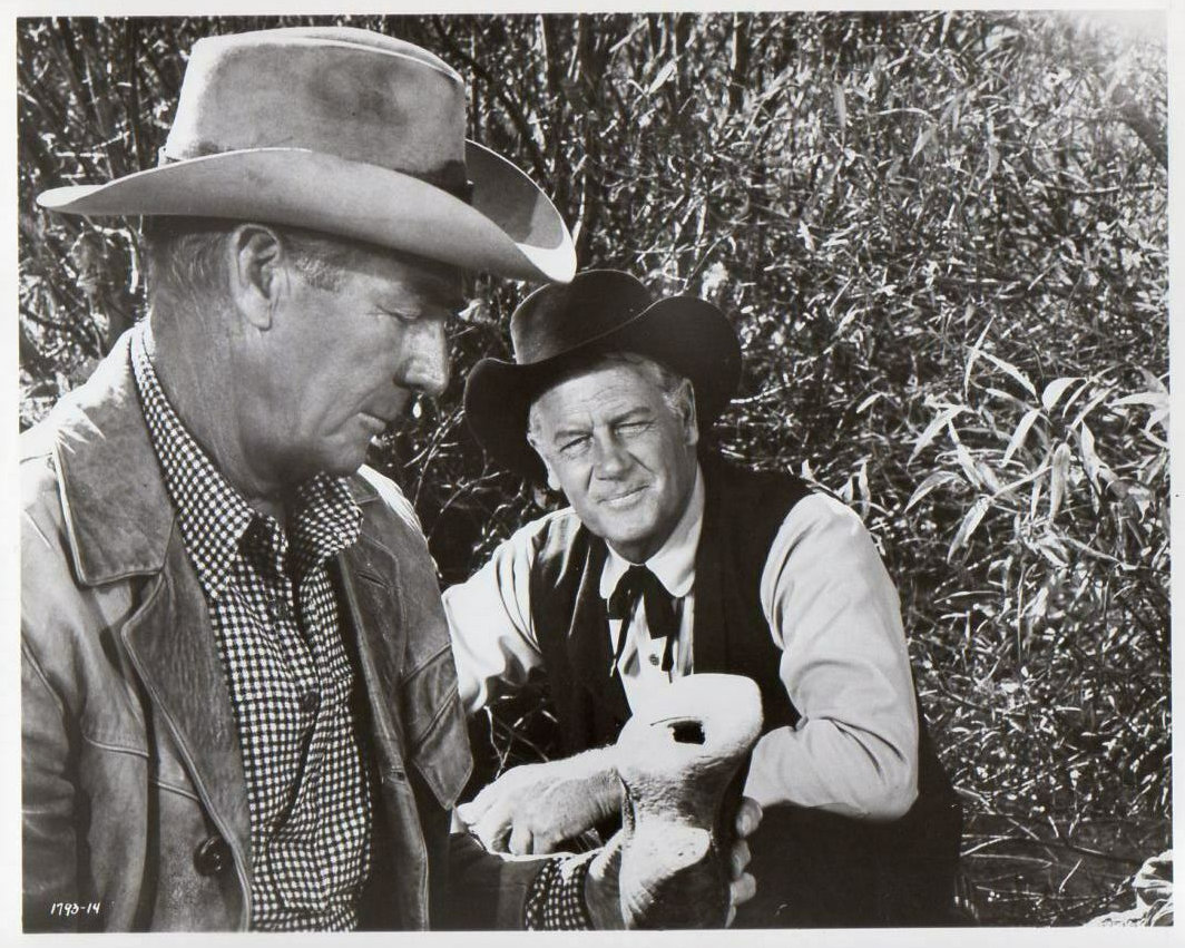 Joel McCrea