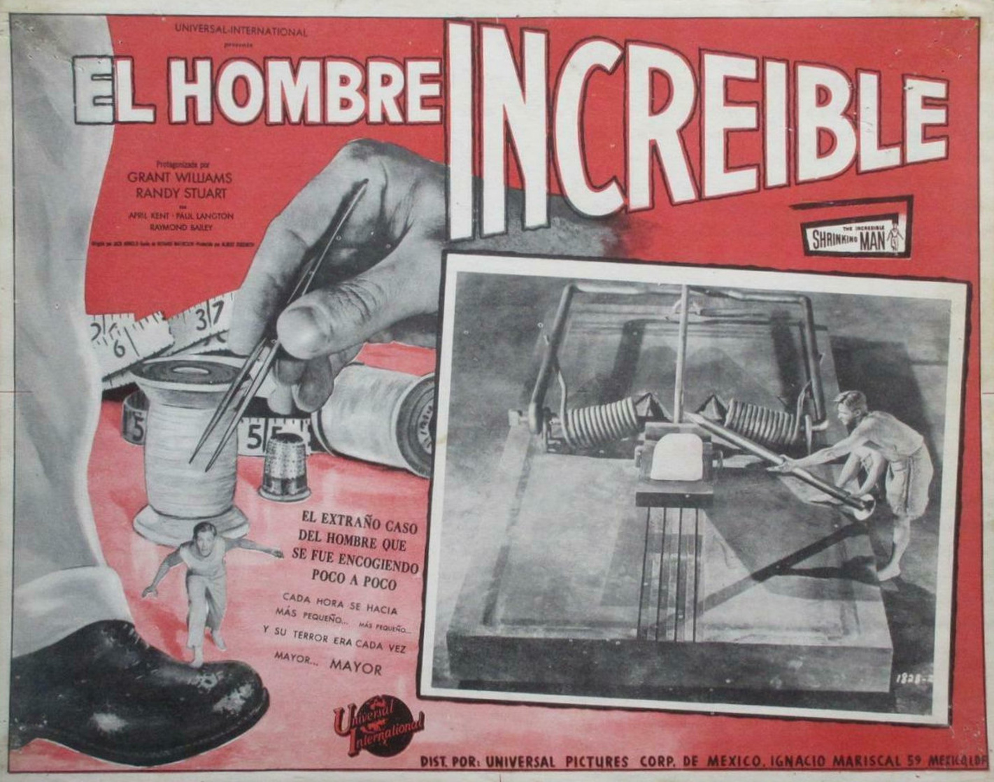 The Incredible Shrinking Man