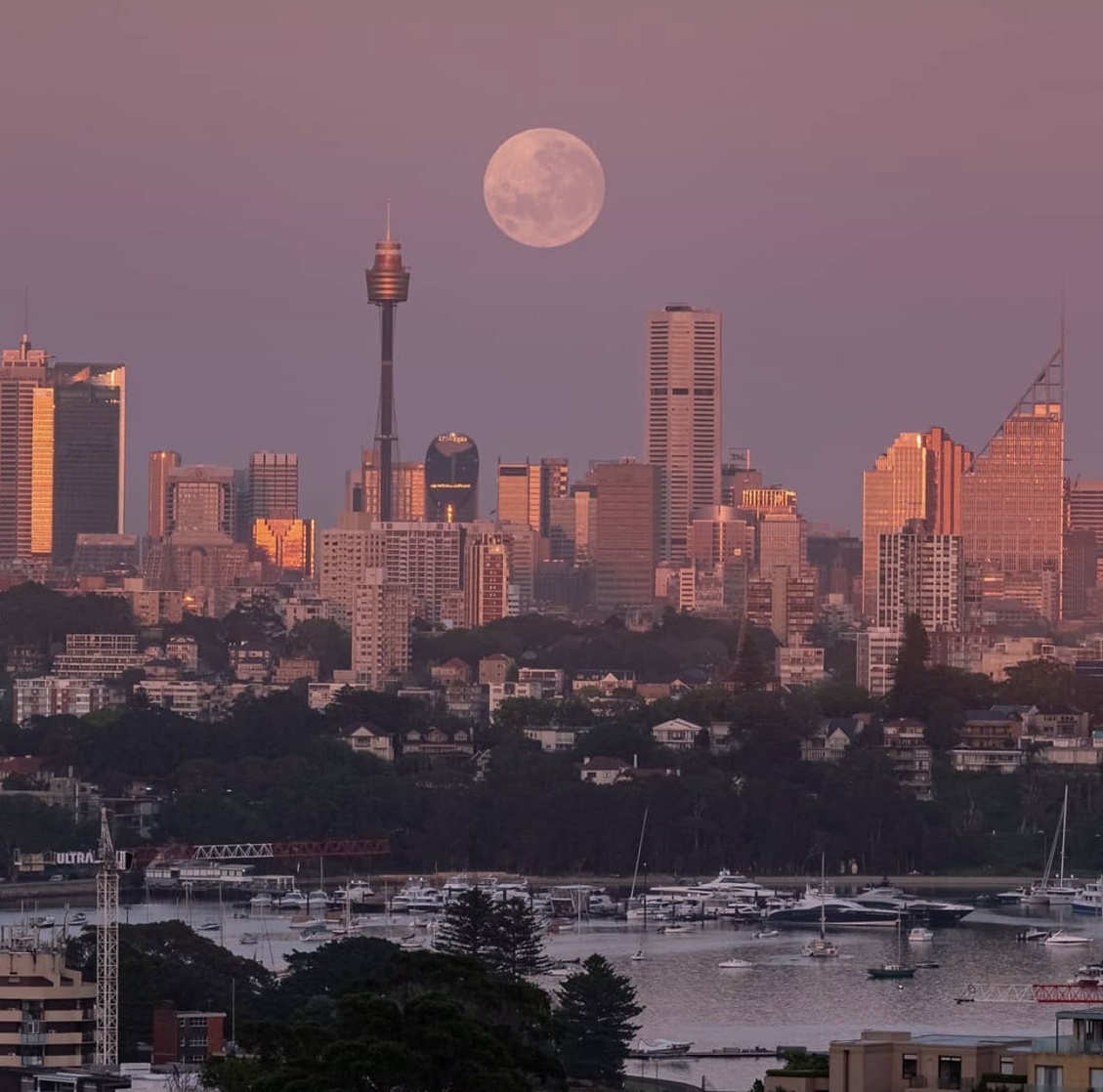 Sydney