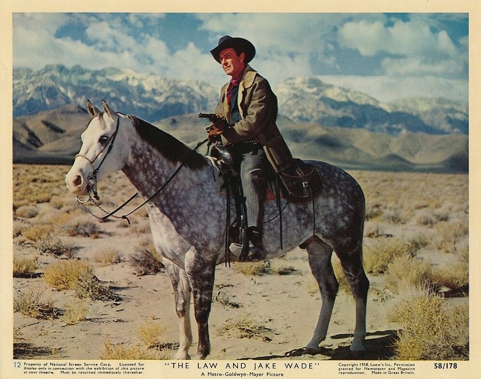 Picture of The Law and Jake Wade