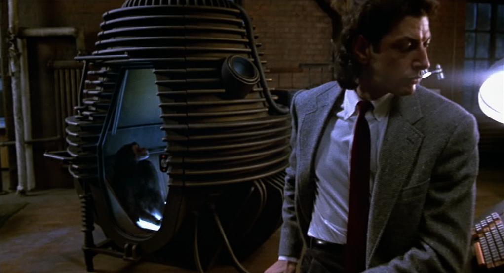 The Fly The Fly