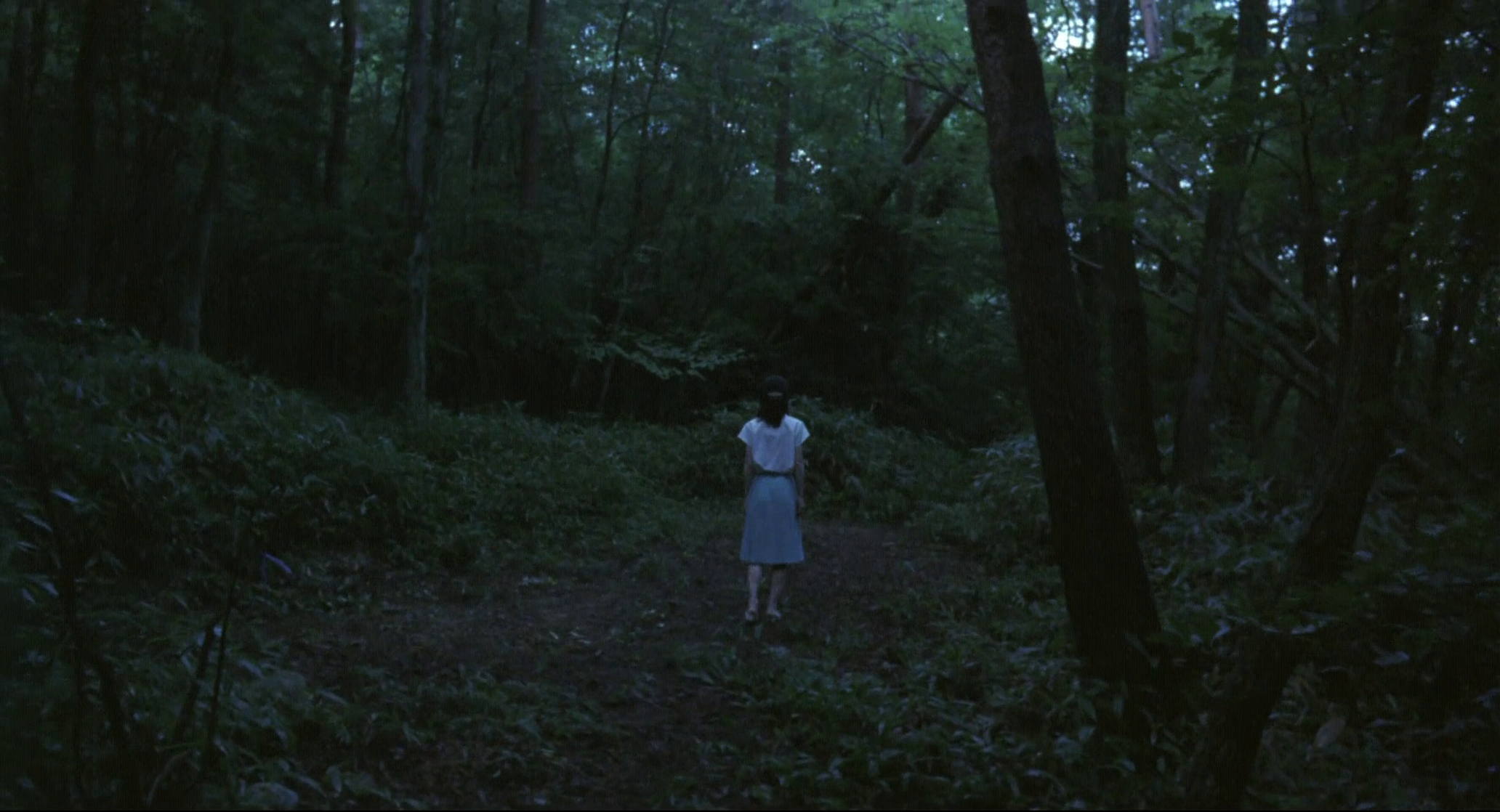 The Mourning Forest 