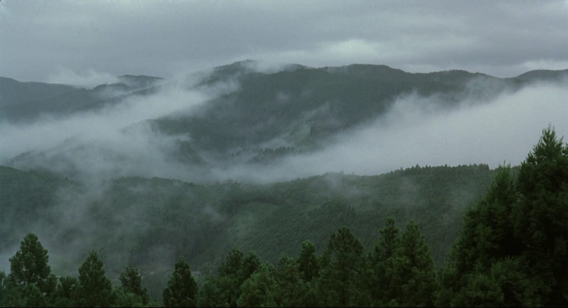 The Mourning Forest 