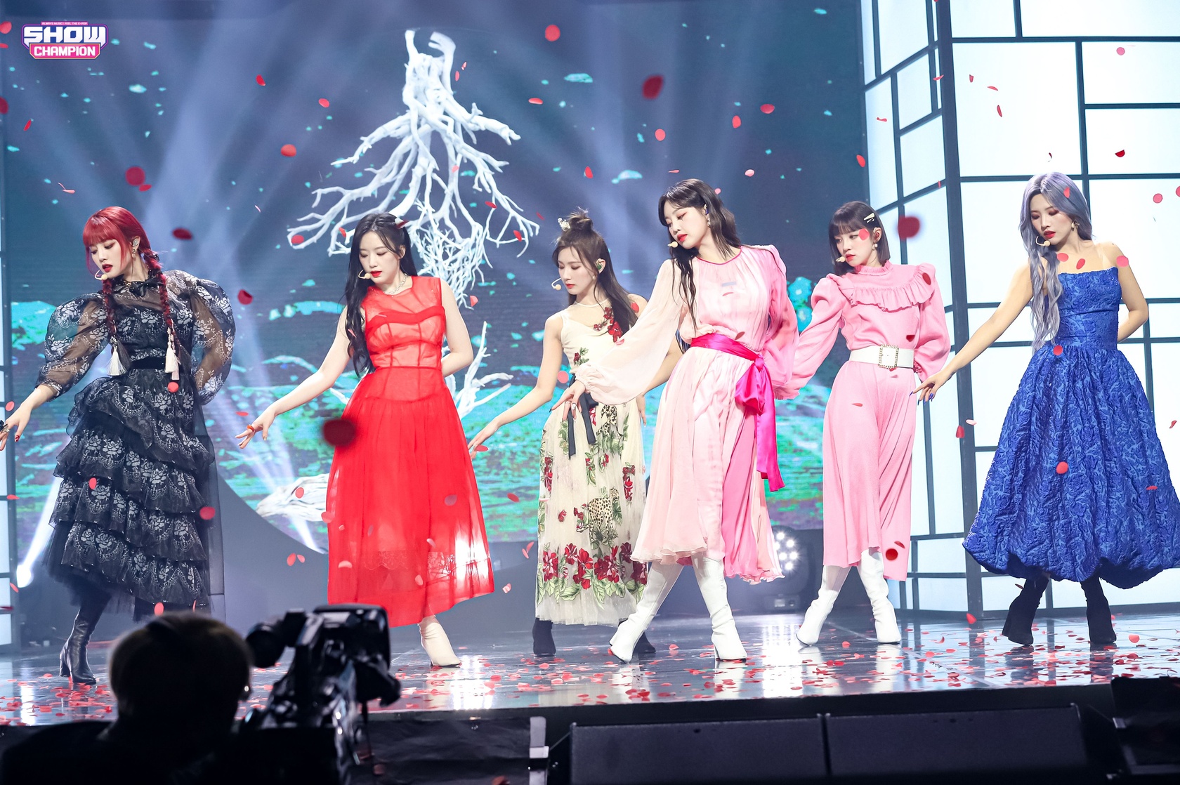 (G)I-dle