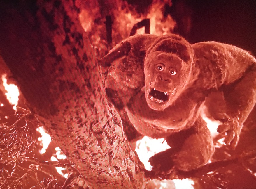 Mighty Joe Young
