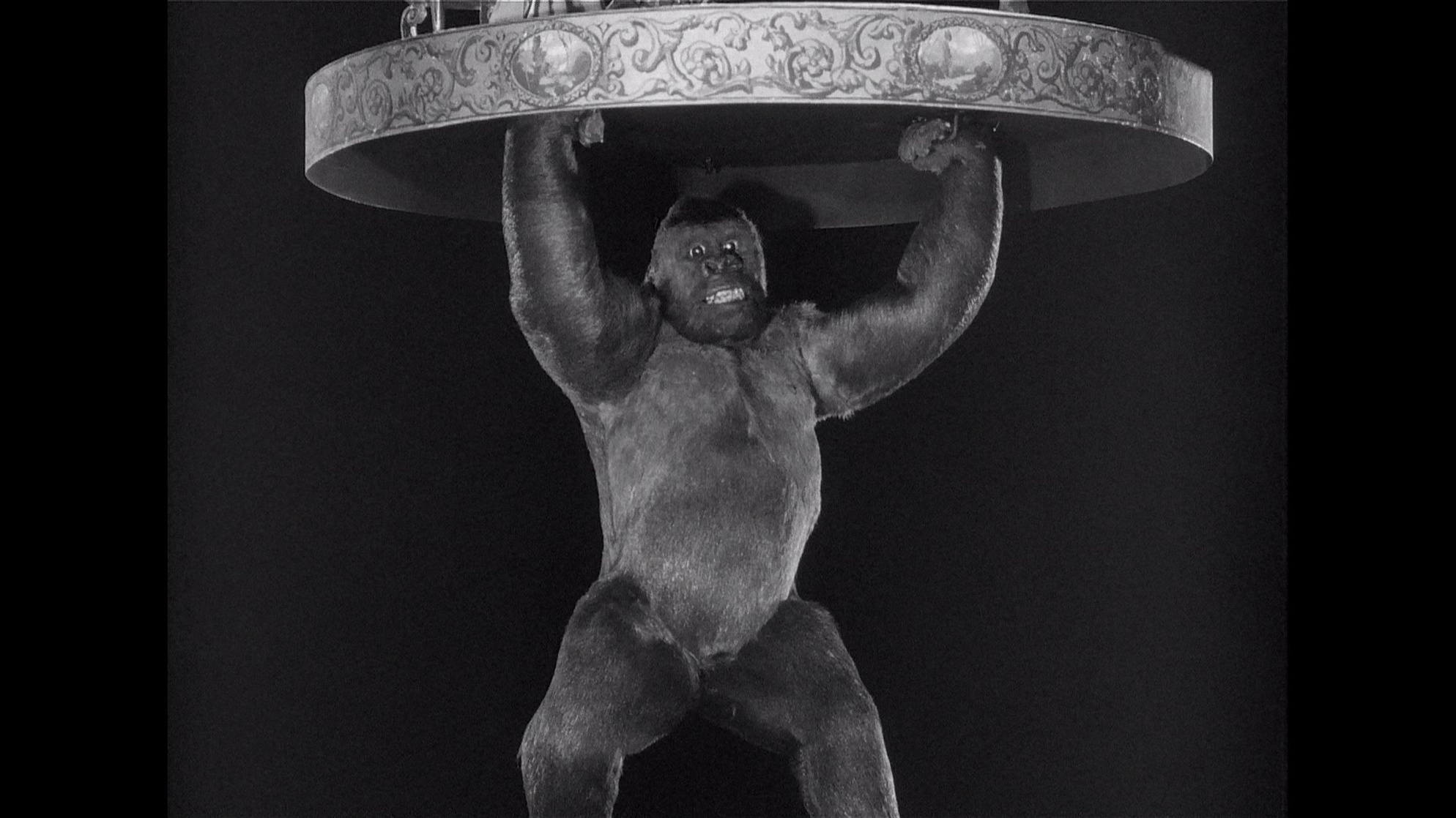 Mighty Joe Young