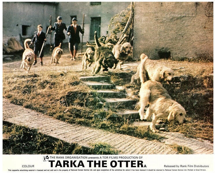 Tarka the Otter