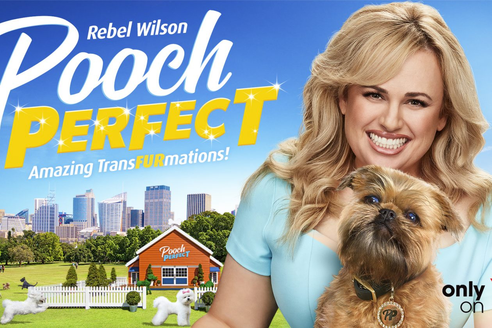 Picture of Pooch Perfect