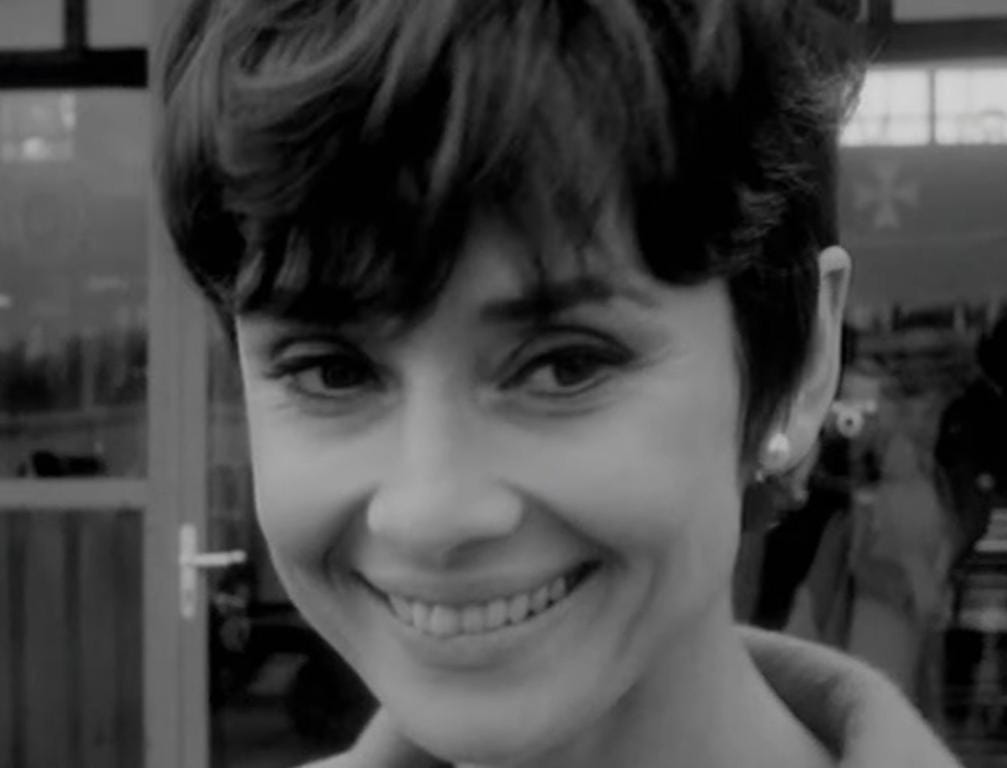 Audrey Audrey