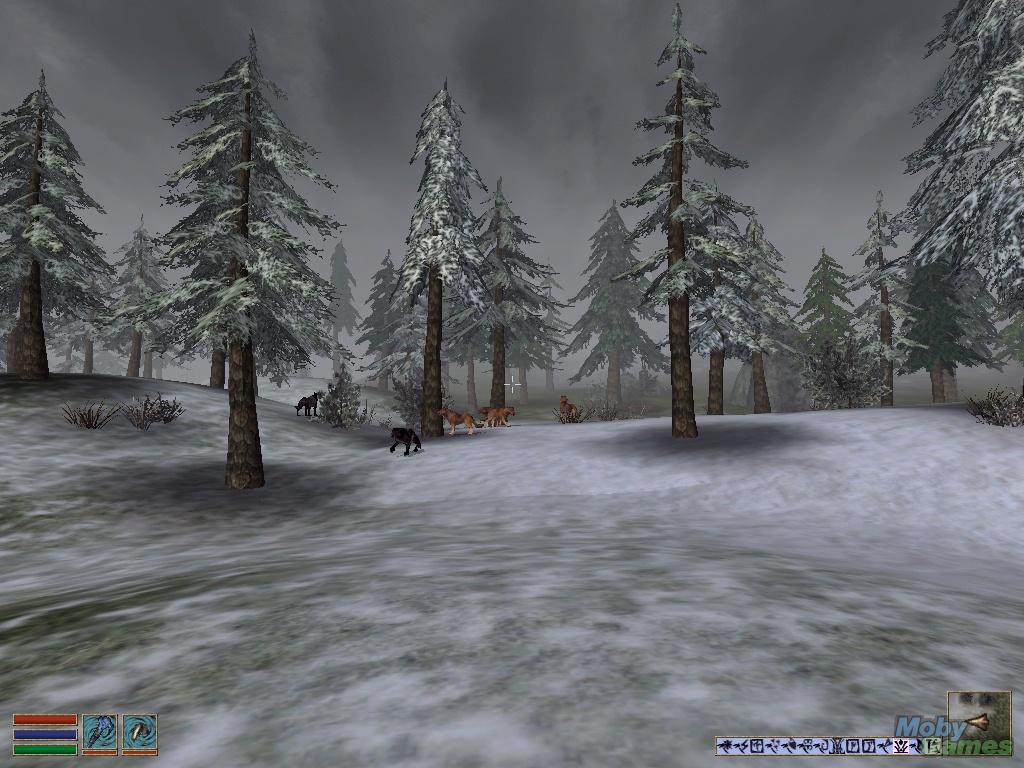The Elder Scrolls III: Bloodmoon