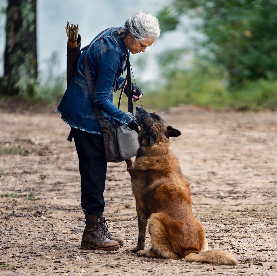 The Walking Dead