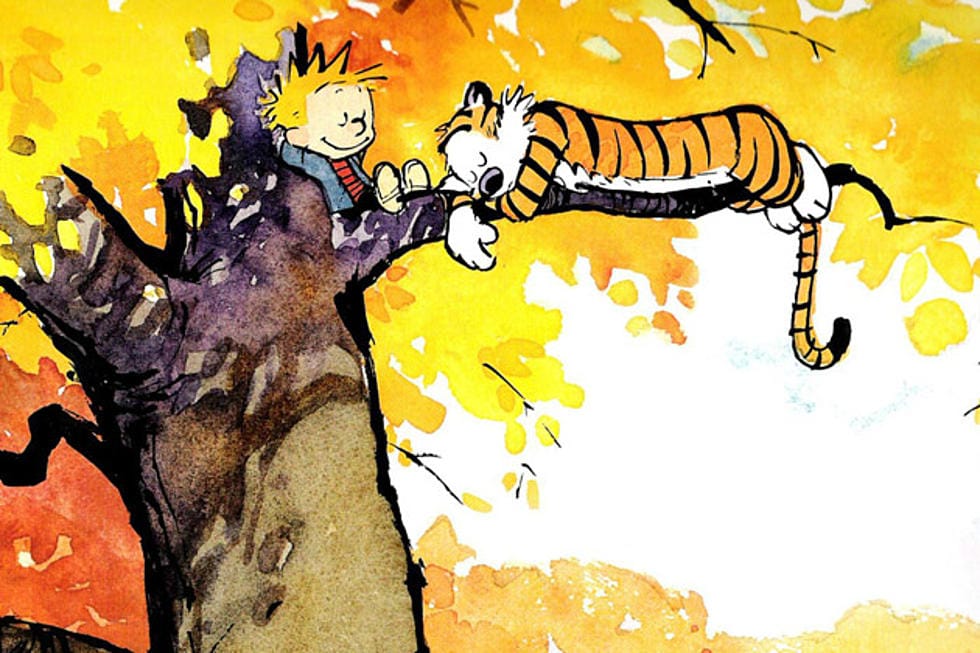 Picture of The Calvin and Hobbes Tenth Anniversary Book