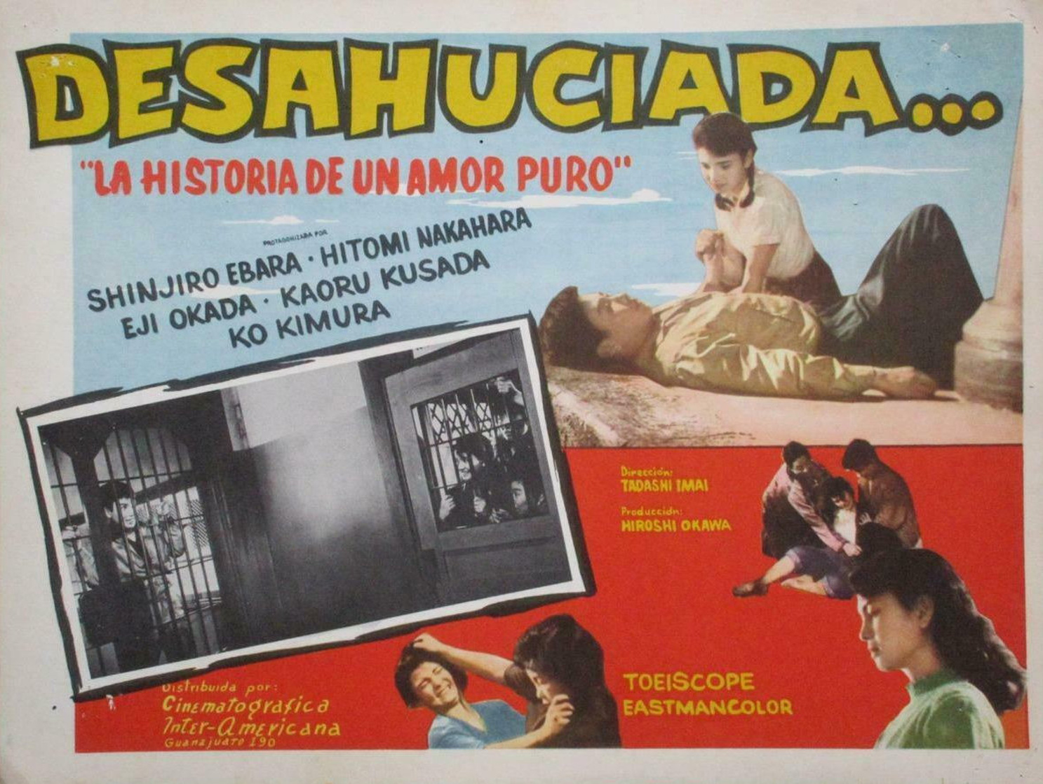 The Story of Pure Love The Story of Pure Love