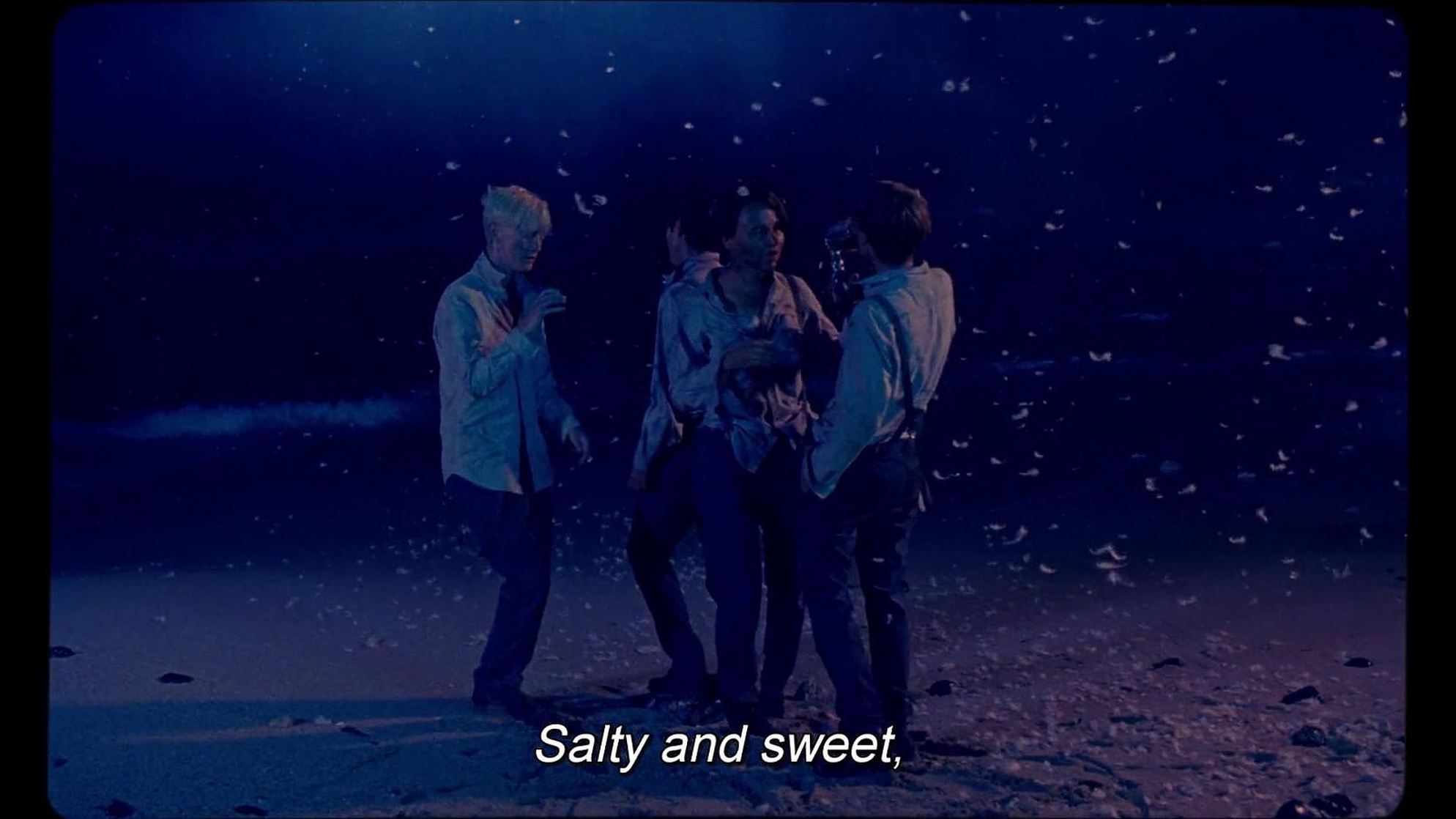 The Wild Boys 