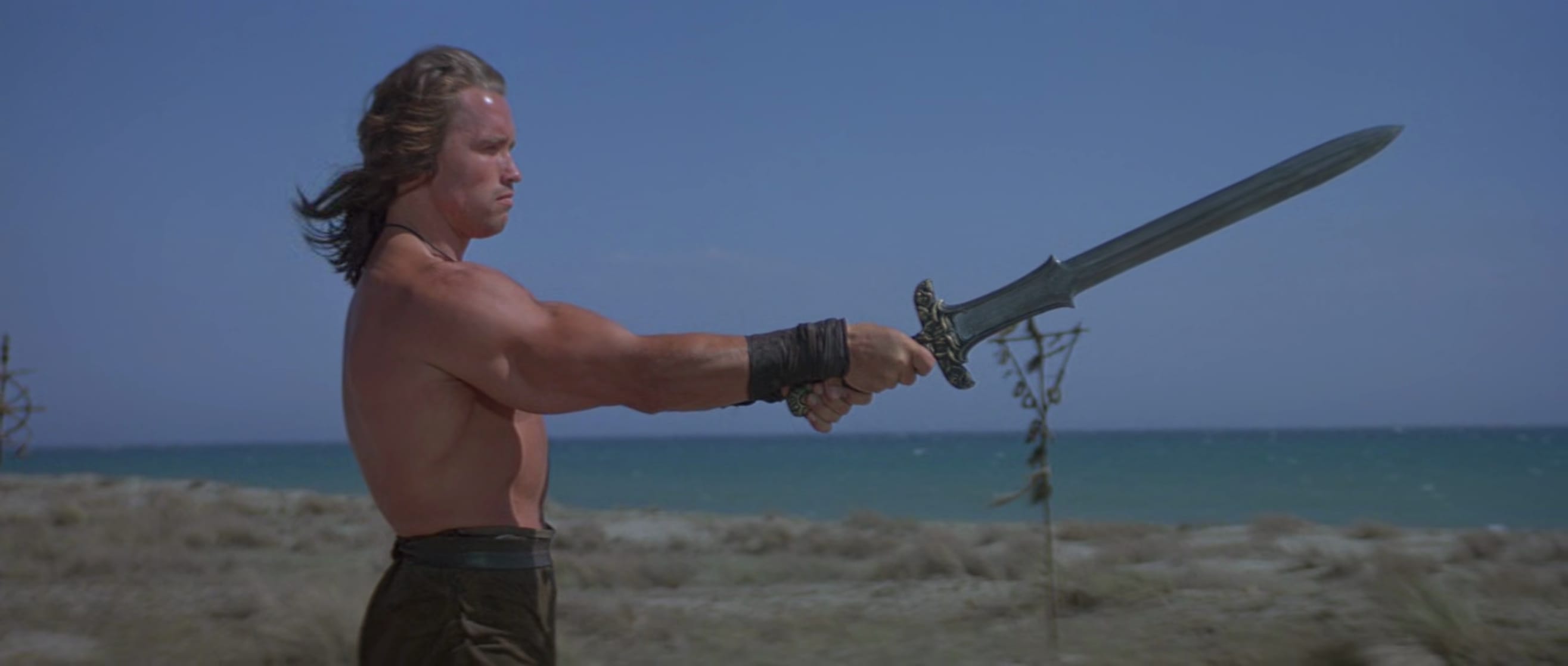 Conan the Barbarian Conan the Barbarian