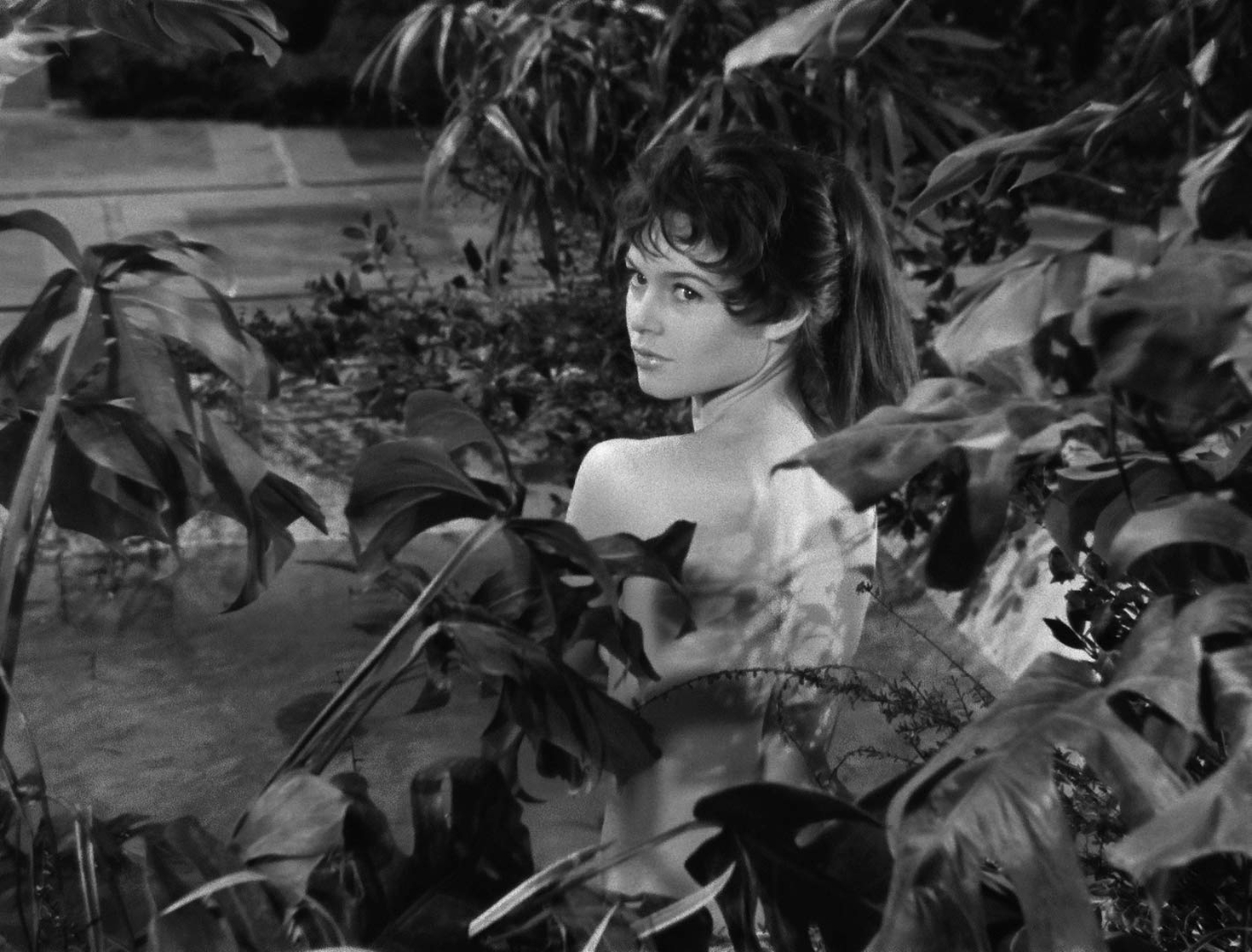 Brigitte Bardot