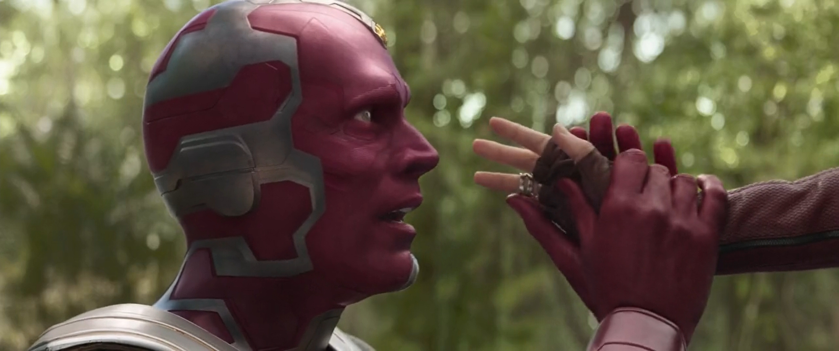 Vision (Paul Bettany)