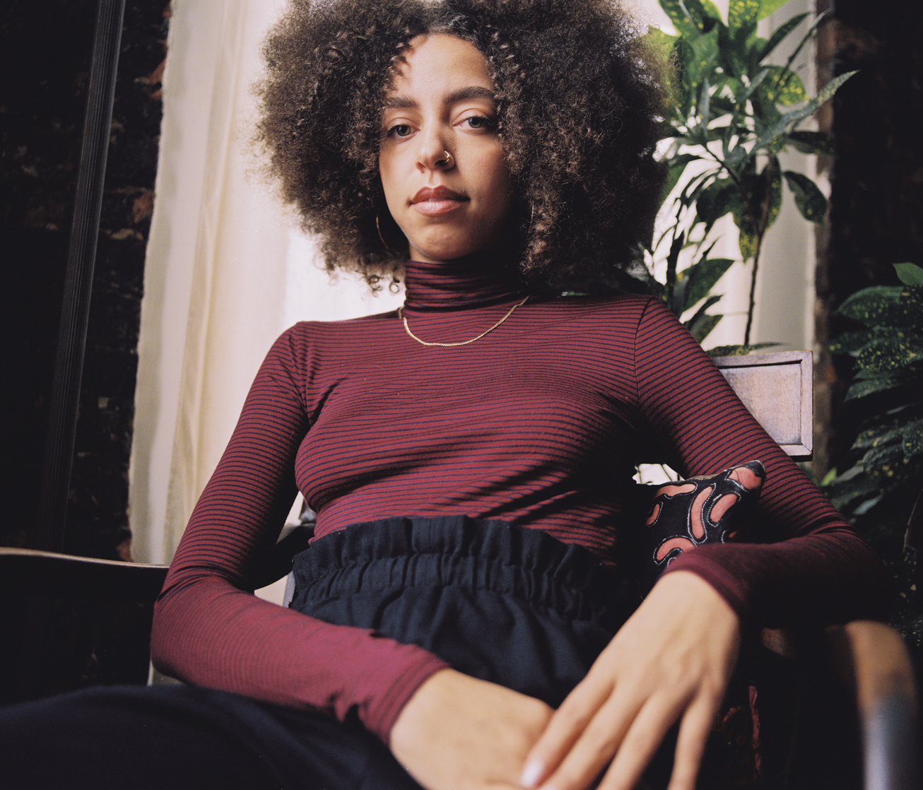 Hayley Law