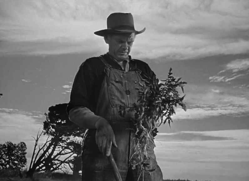 Johnny Belinda (1948)