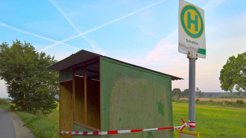 Niemand ist bei den Kälbern