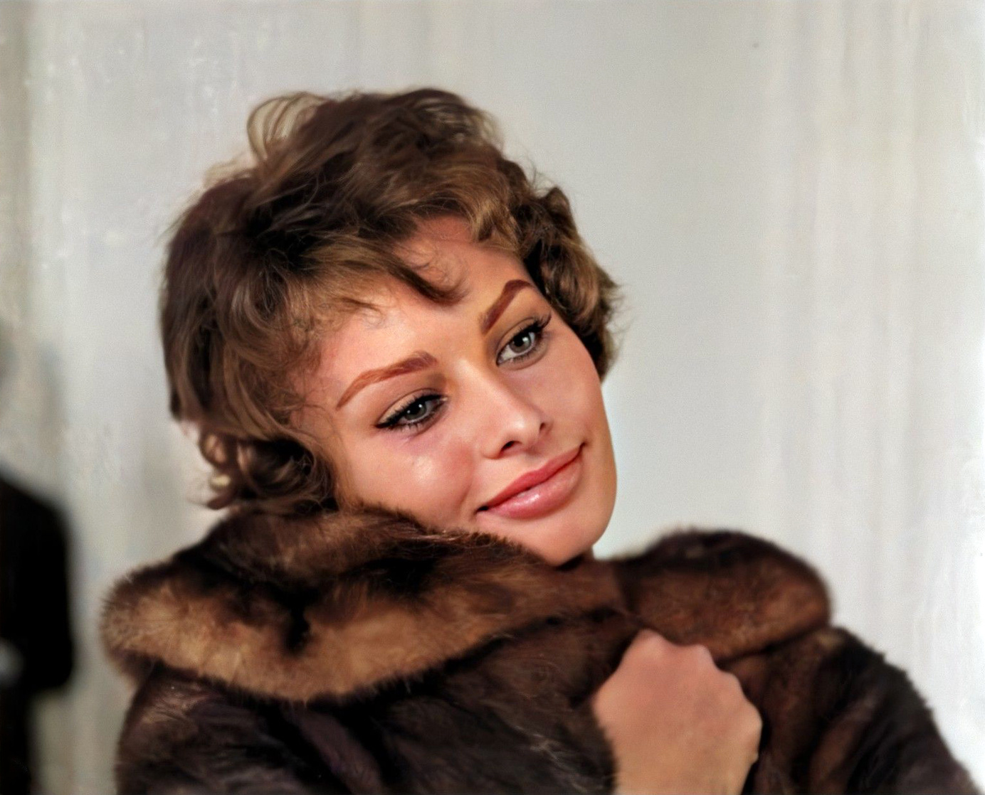 Sophia Loren Sophia Loren