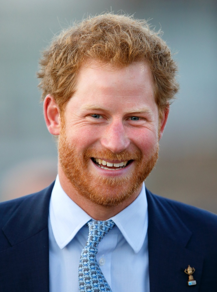 Picture of Prince Harry Windsor