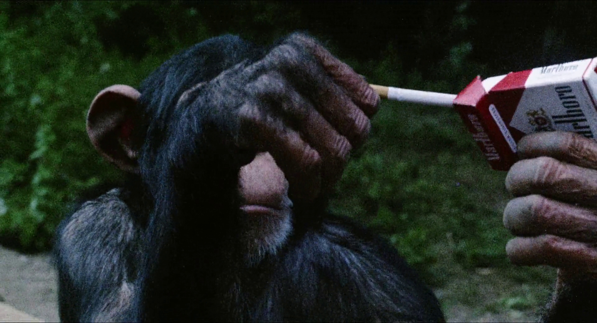 Emanuelle and the Last Cannibals