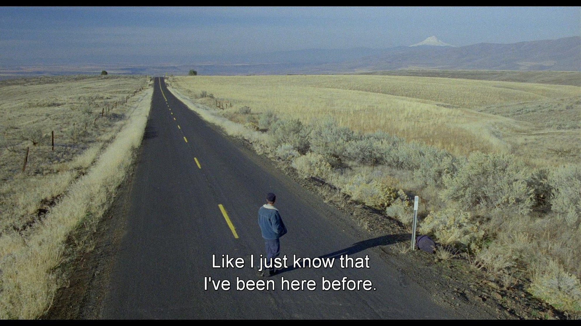 My Own Private Idaho