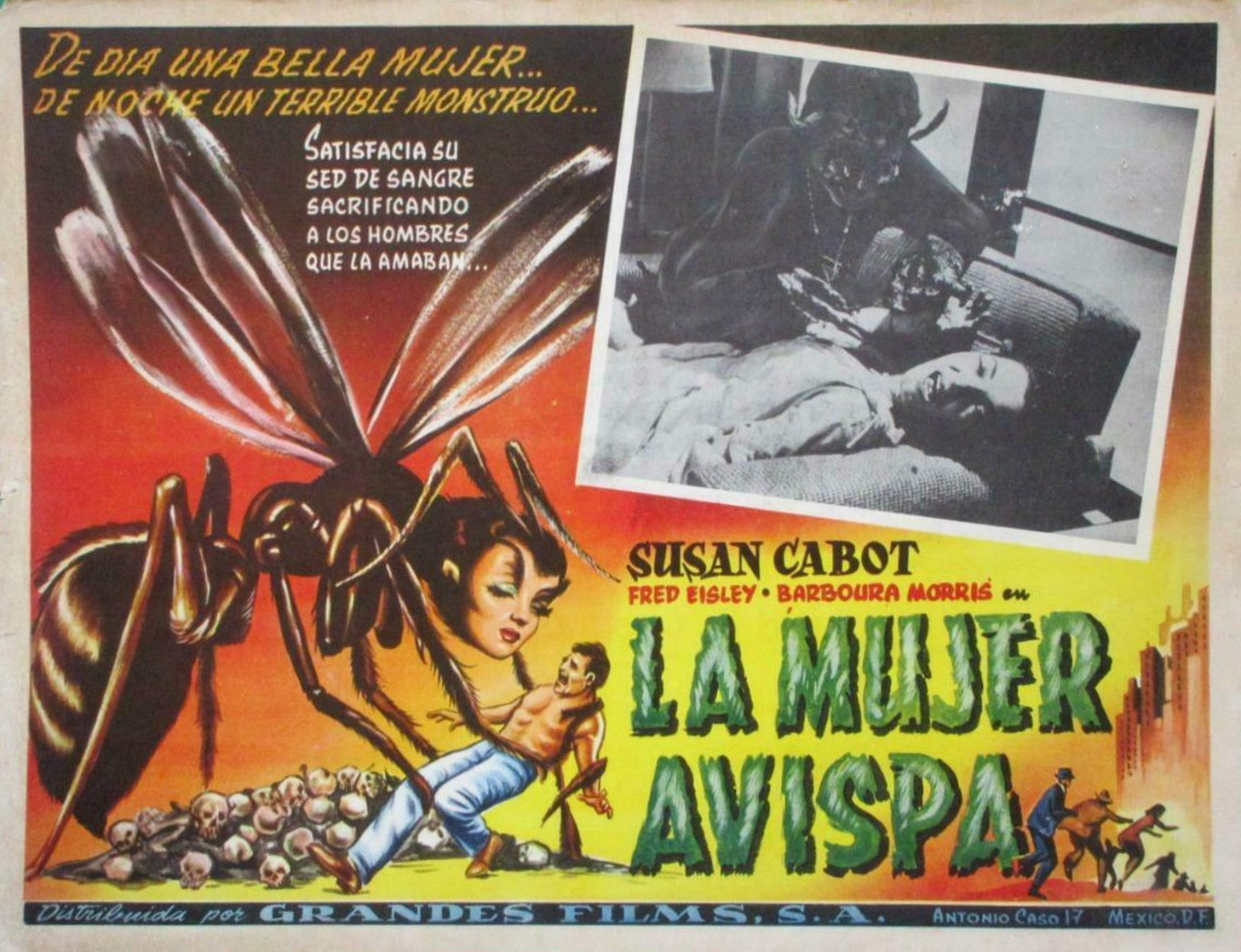 The Wasp Woman 
