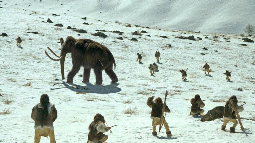 Leaps in Evolution