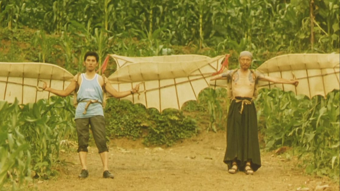 The Bird People in China