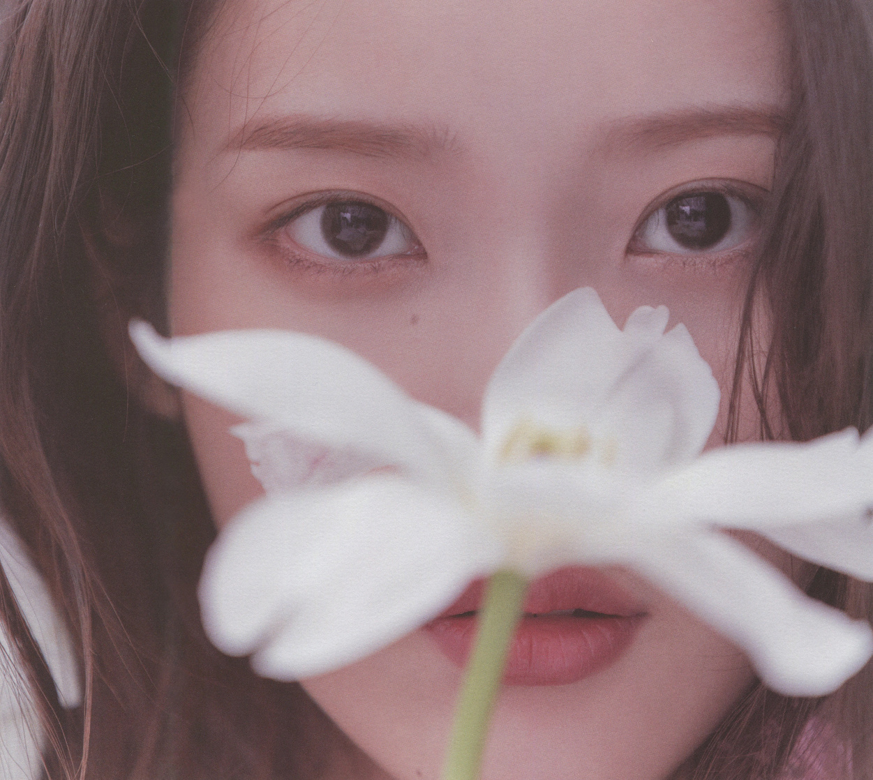 IU