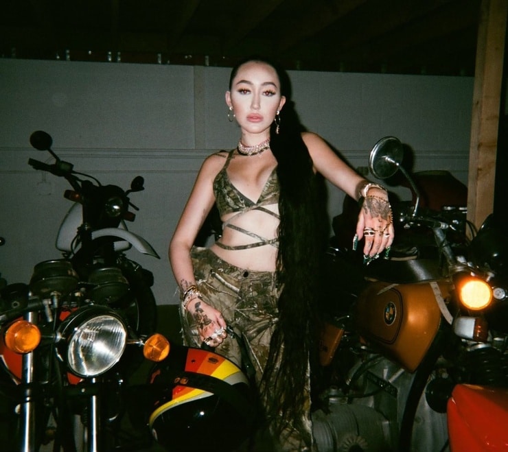 Picture Of Noah Lindsey Cyrus