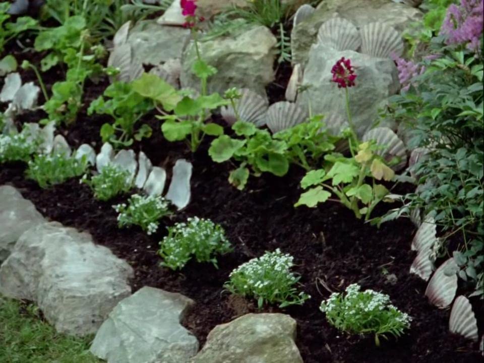 How Does Your Garden Grow?