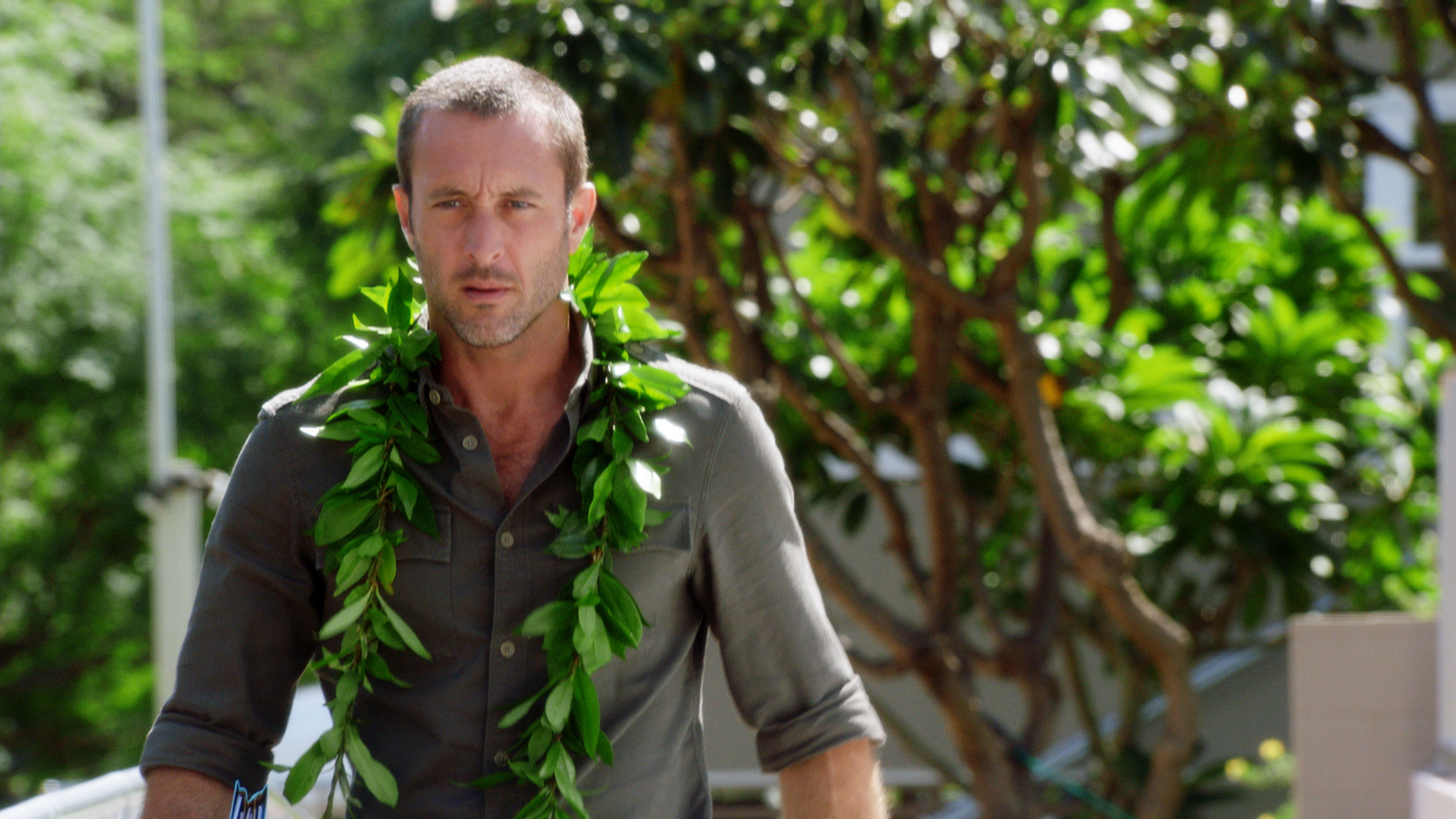 Hawaii Five-0