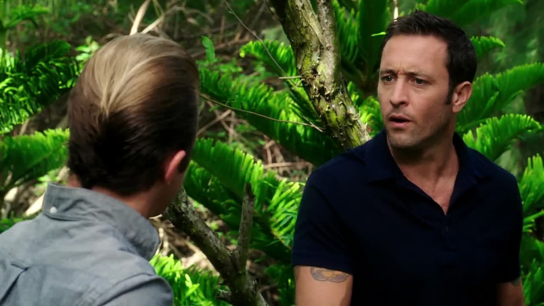 Hawaii Five-0