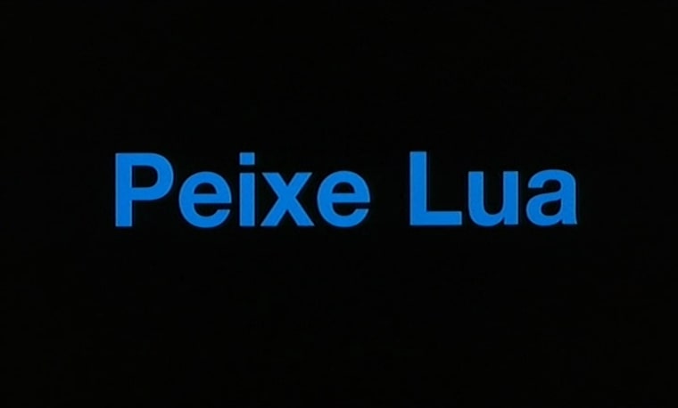 Peixe-Lua