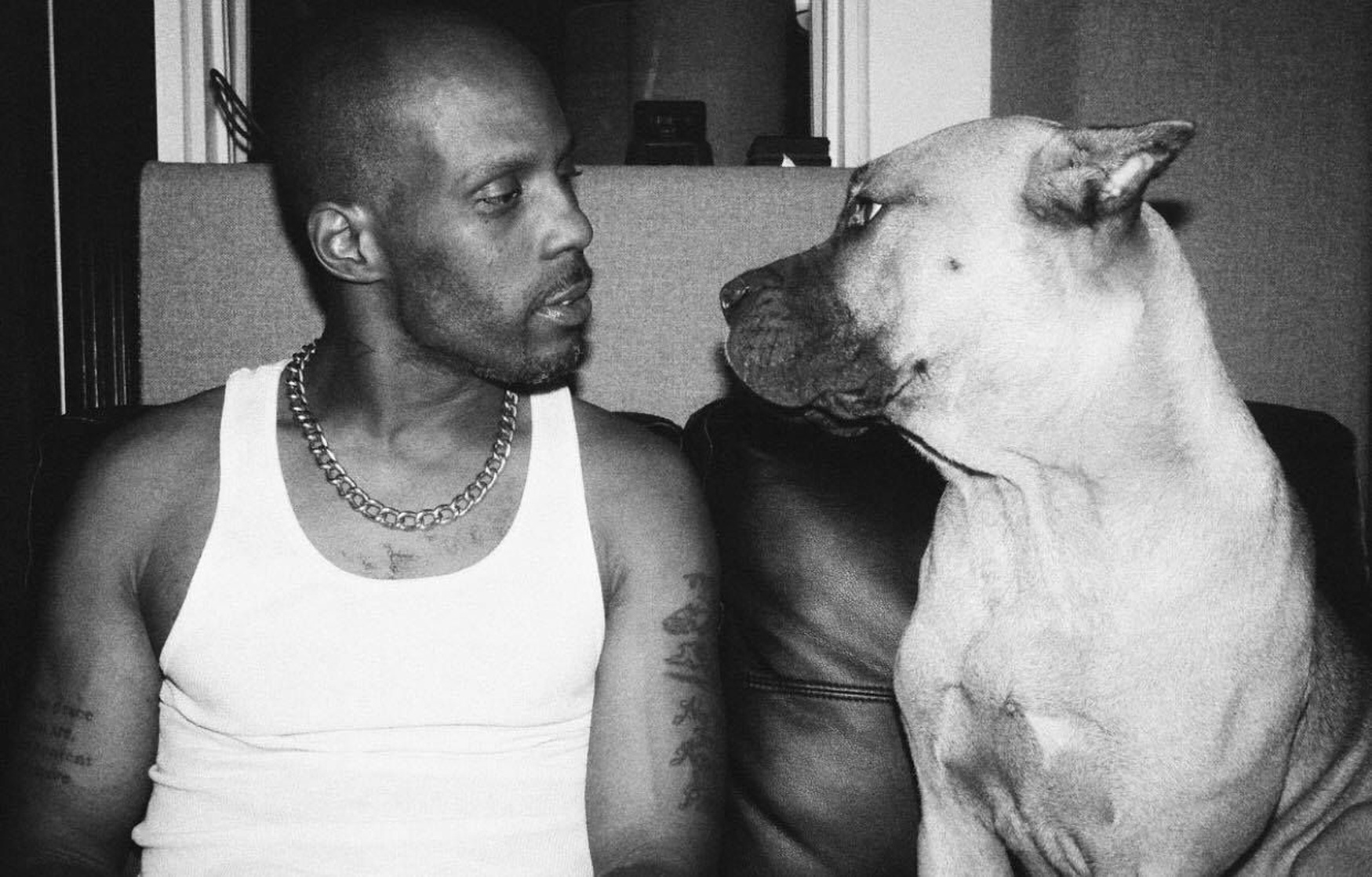 DMX
