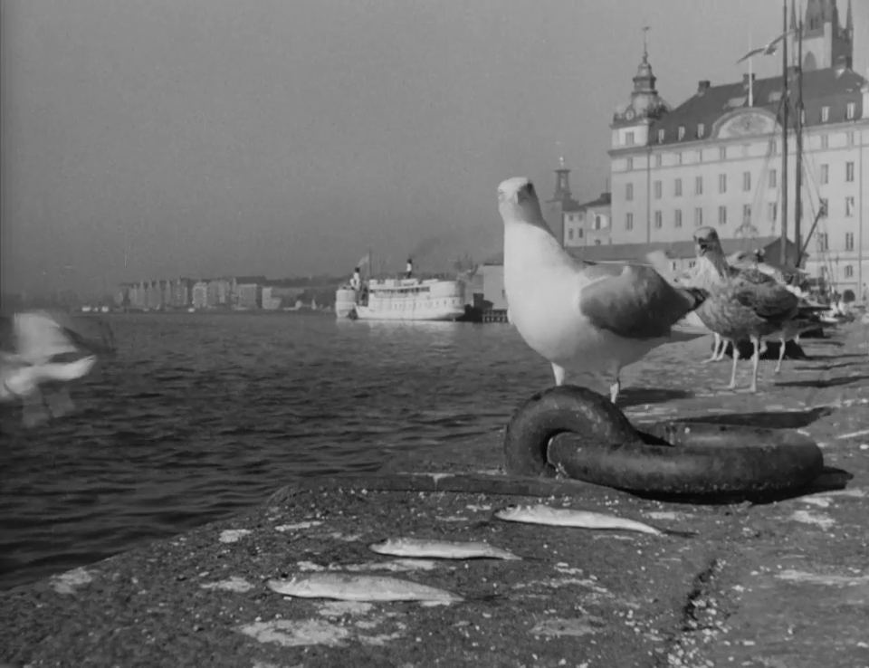 Människor i stad